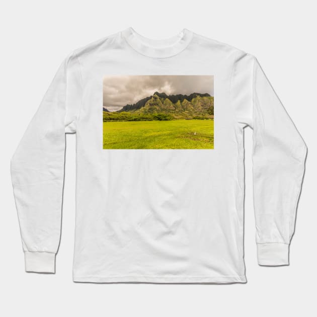 Landscapes with Cattle Egret Long Sleeve T-Shirt by KensLensDesigns